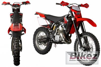 2009 GAS GAS EC 125 photo